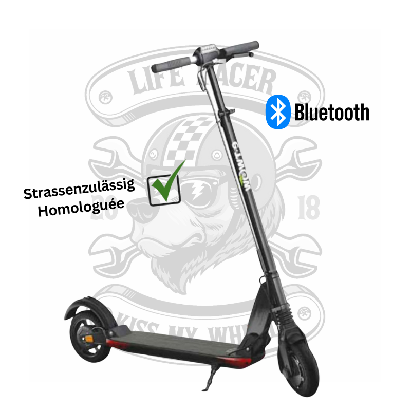 E-TWOW GT + SL SWISS EDITION