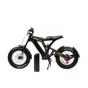 Kit de garde-boue pour VSETT EAGLE Fat Bike