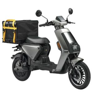 FernFlitzer electric scooter