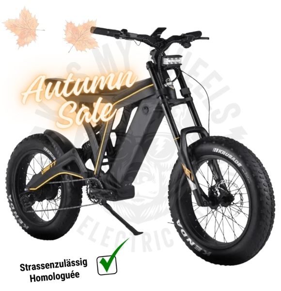 VSETT EAGLE - Fat Bike