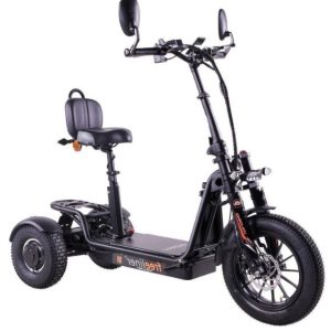 FREELINER EVO3 20 KM/H SWISS EDITION